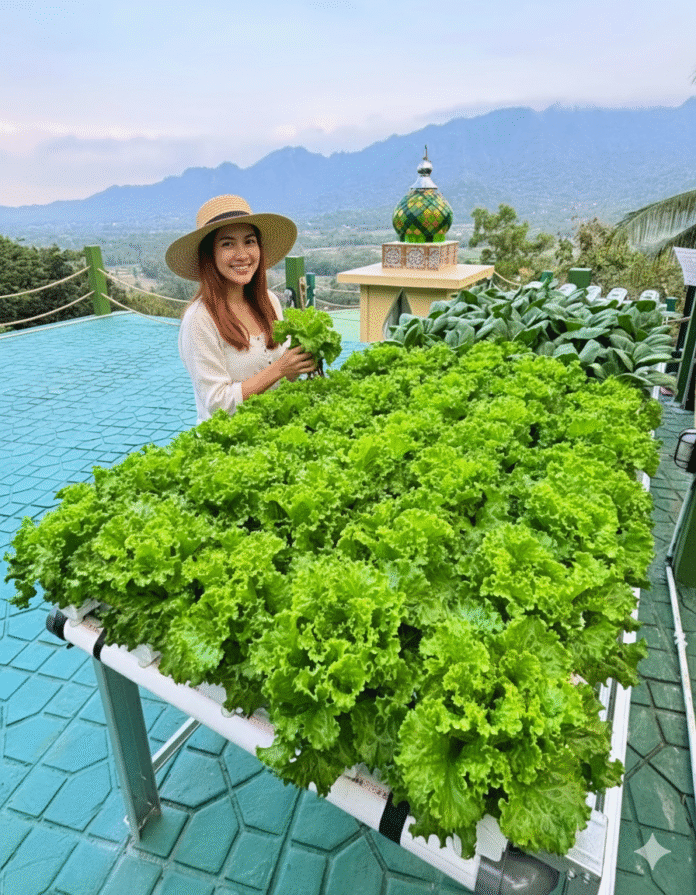 Aku di Kedai Bukit Rhema Aku di Kedai Bukit Rhema