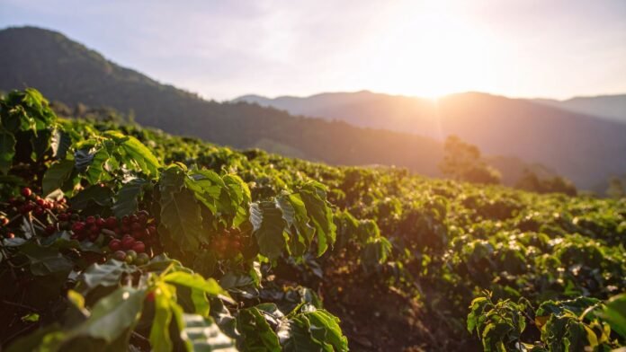 sunrise-ketep-pass sunrise ketep pass